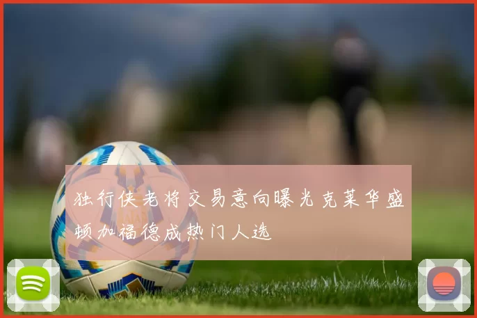 独行侠老将交易意向曝光克莱华盛顿加福德成热门人选
